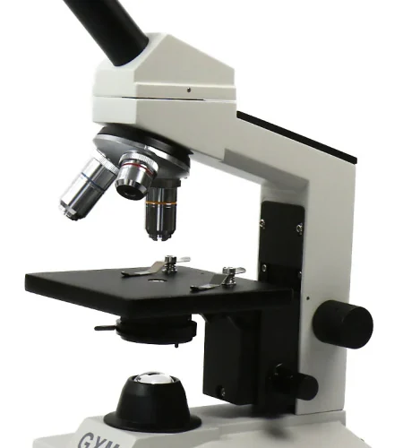 microscope